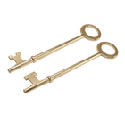 Set di grimaldelli per serrature antiche – Skeleton keys