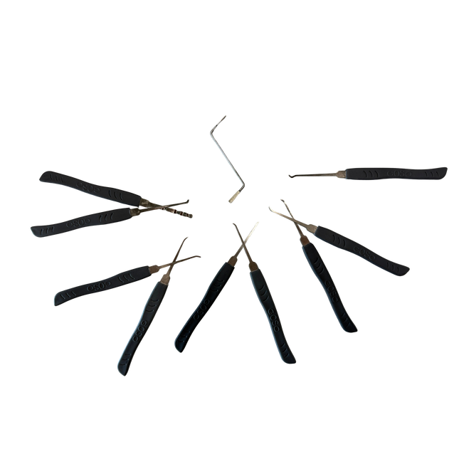 Goso set di grimaldelli da 10 pezzi – set completo per principianti