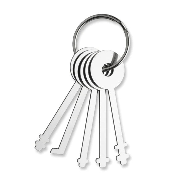 Set di 5 Grimaldelli Warded